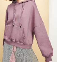 Load image into Gallery viewer, Embroidery Velvet Hoodie