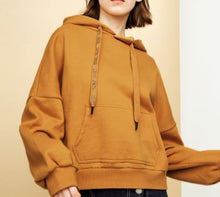 Load image into Gallery viewer, Embroidery Velvet Hoodie